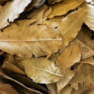 Bay Leaves